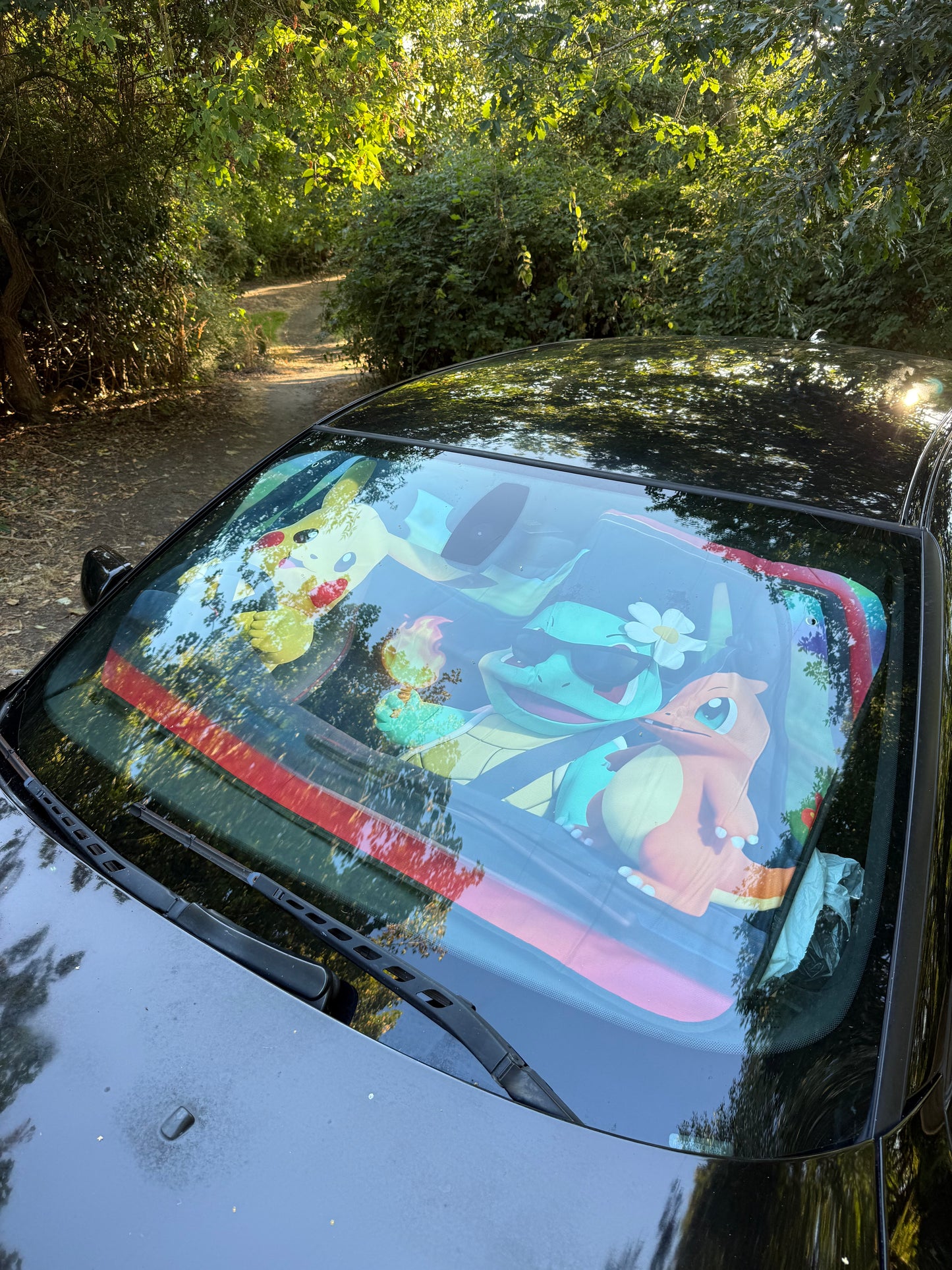 Pokémon Sunshade