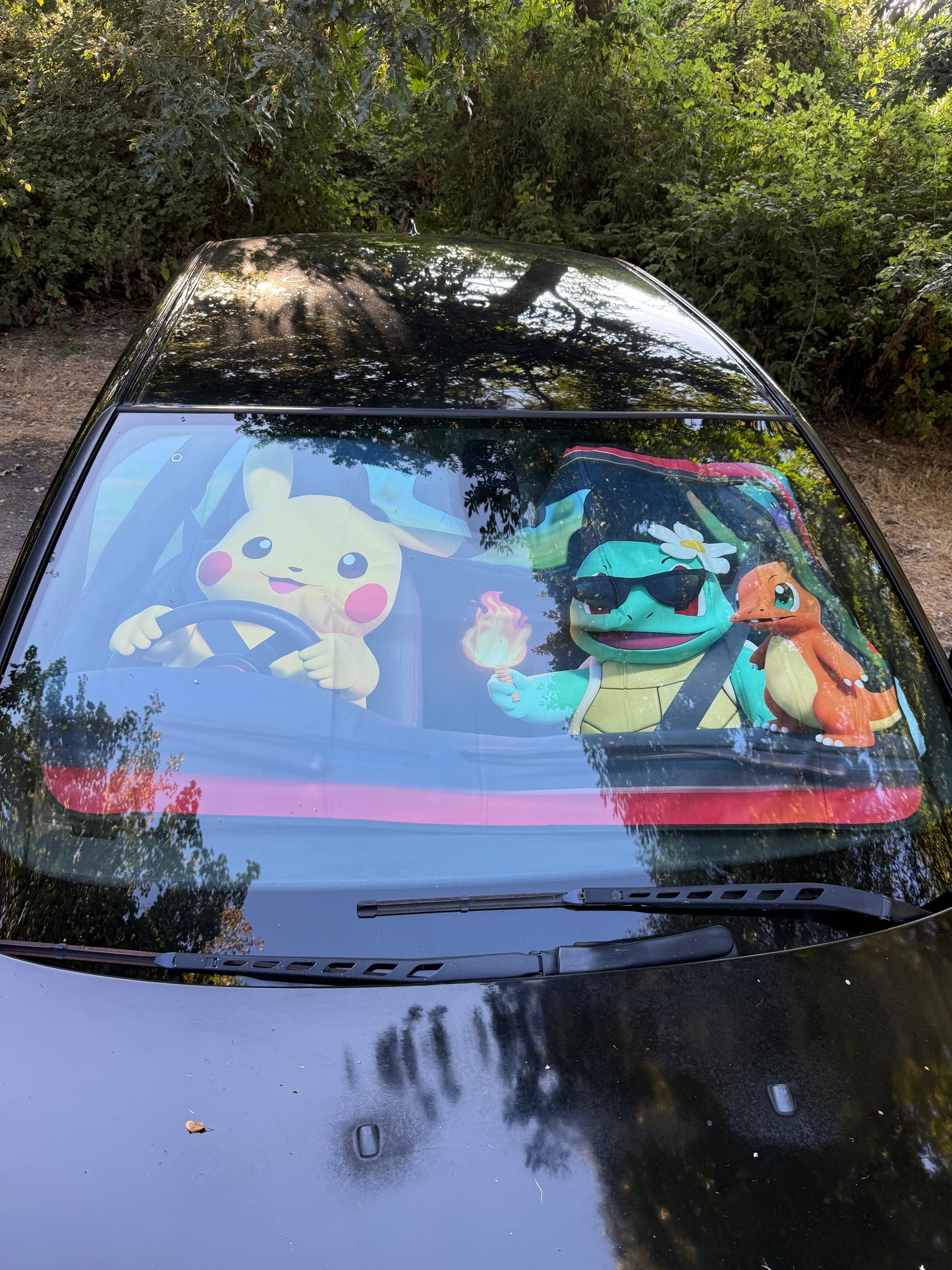 Pokémon Sunshade